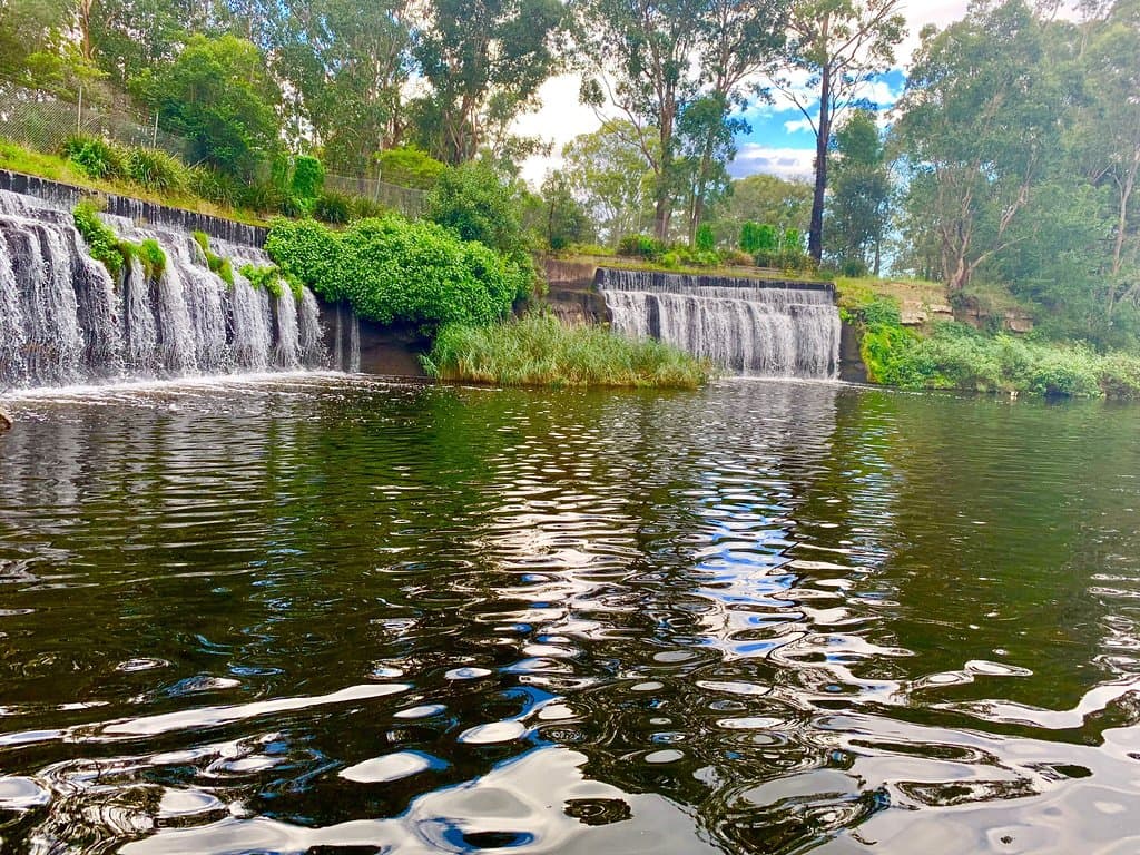 Central Gardens Nature Reserve