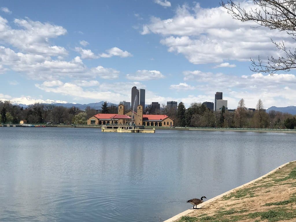 City Park