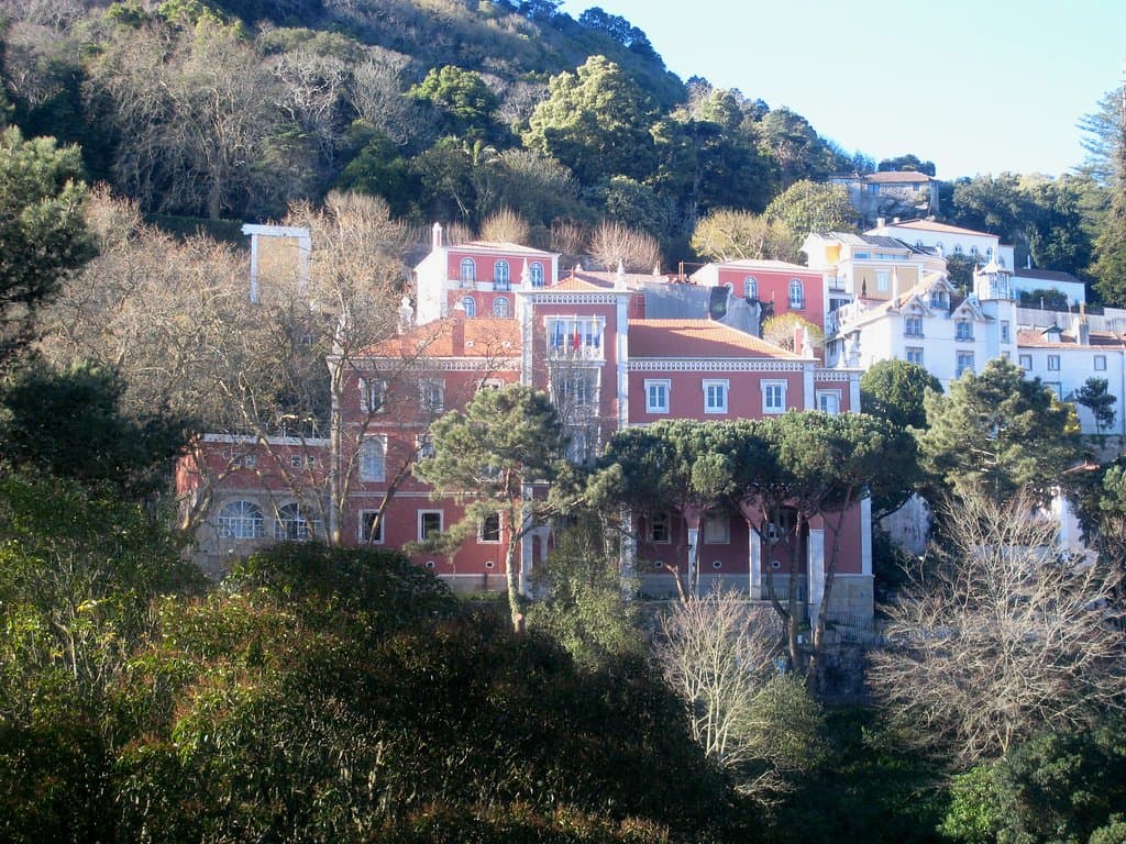 Much variety of flora 