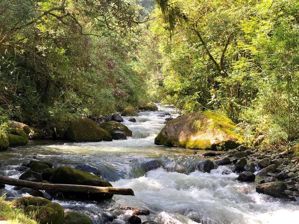 Centro de visitantes la Pastora