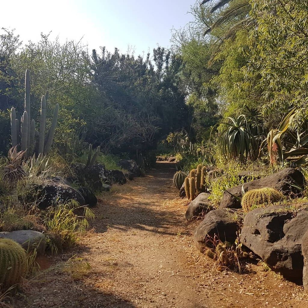 Rock Garden Yarkon Park