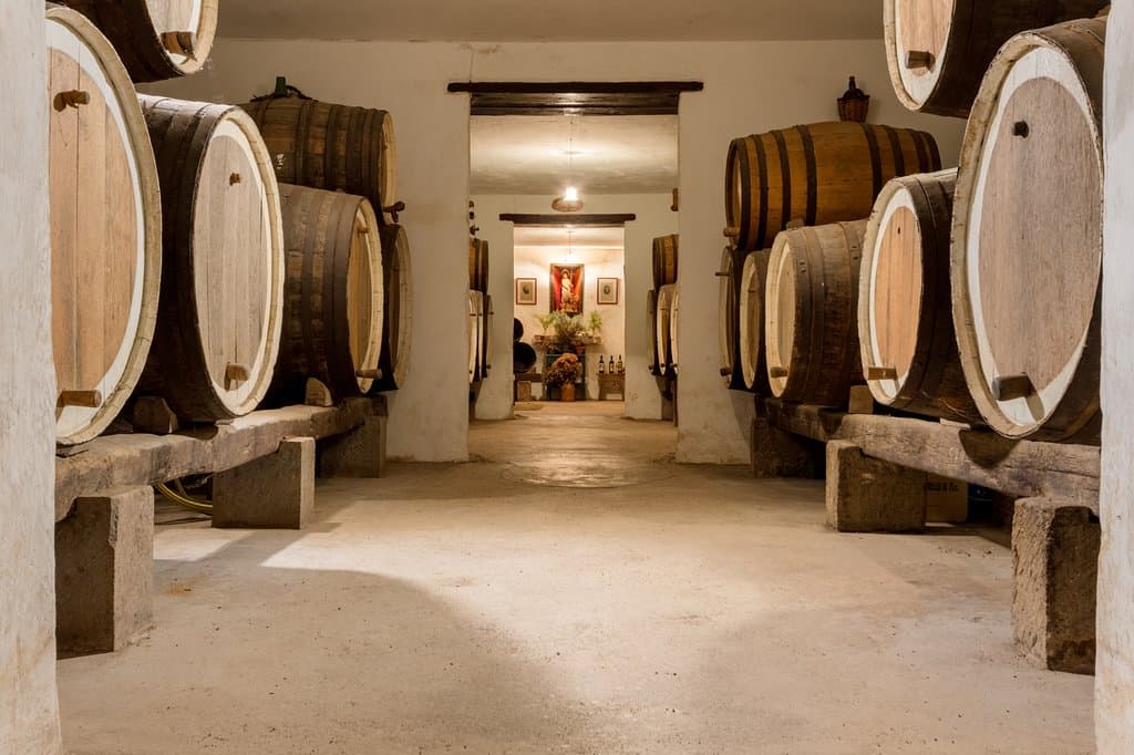 La bodega, con San Juan al fondo.