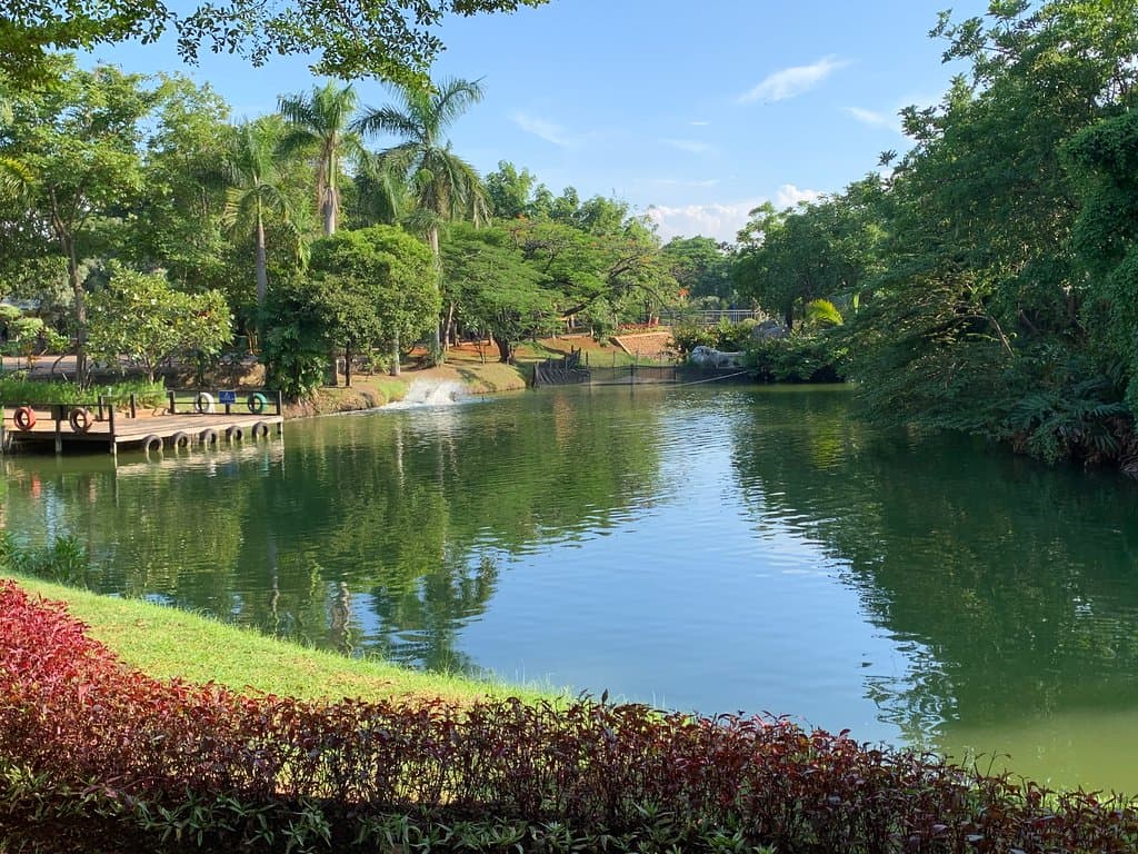 公園内
