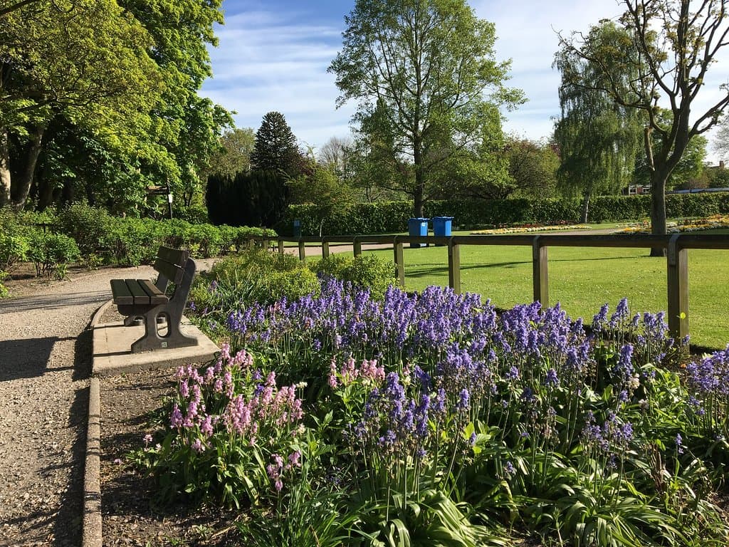 Riverside walk