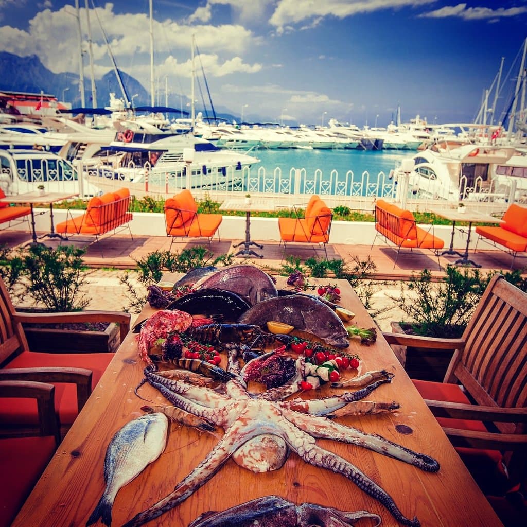 Qualista Restaurant Marina 