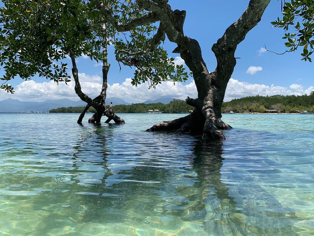 Pristine Beach