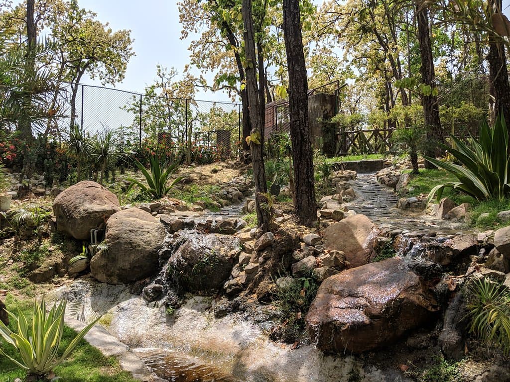 Malsi Deer Park Dehradun