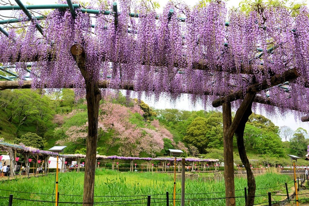 Ryogaike Park