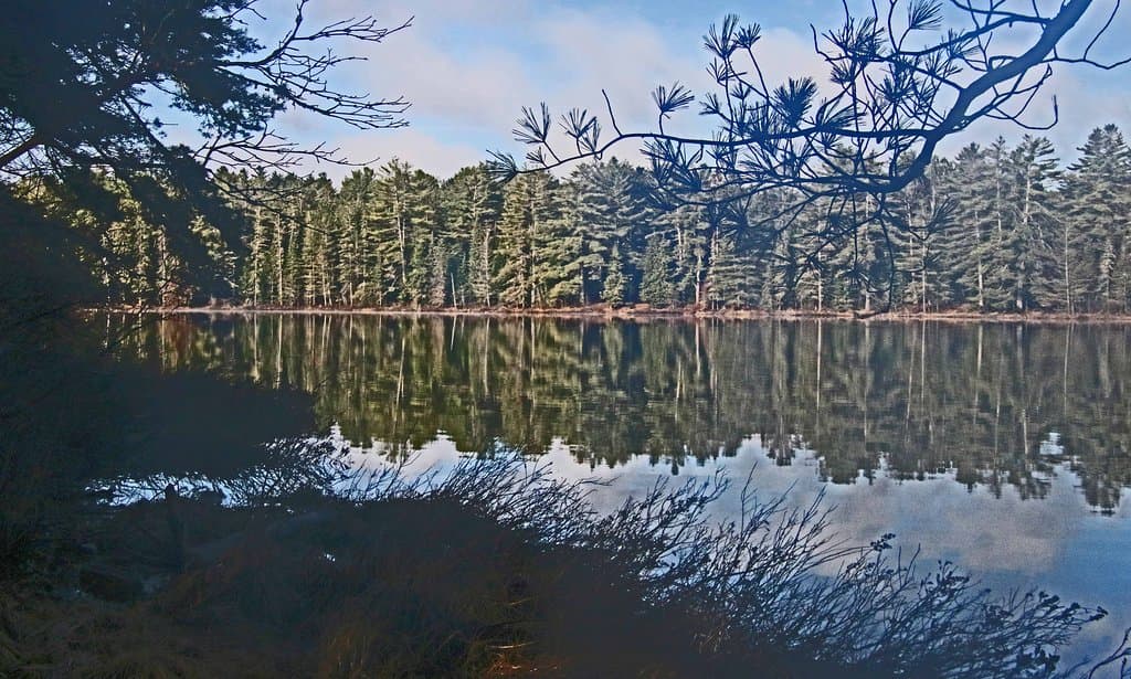 Algonquin Provincial Park