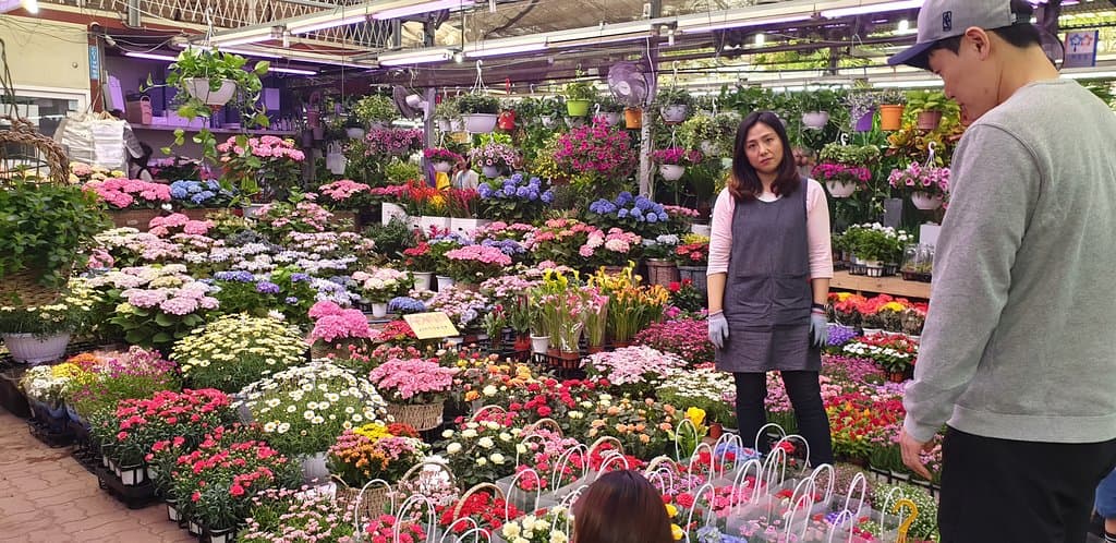 Flowers and flowers and flowers