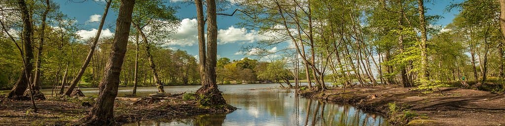 Tilgate Lake
