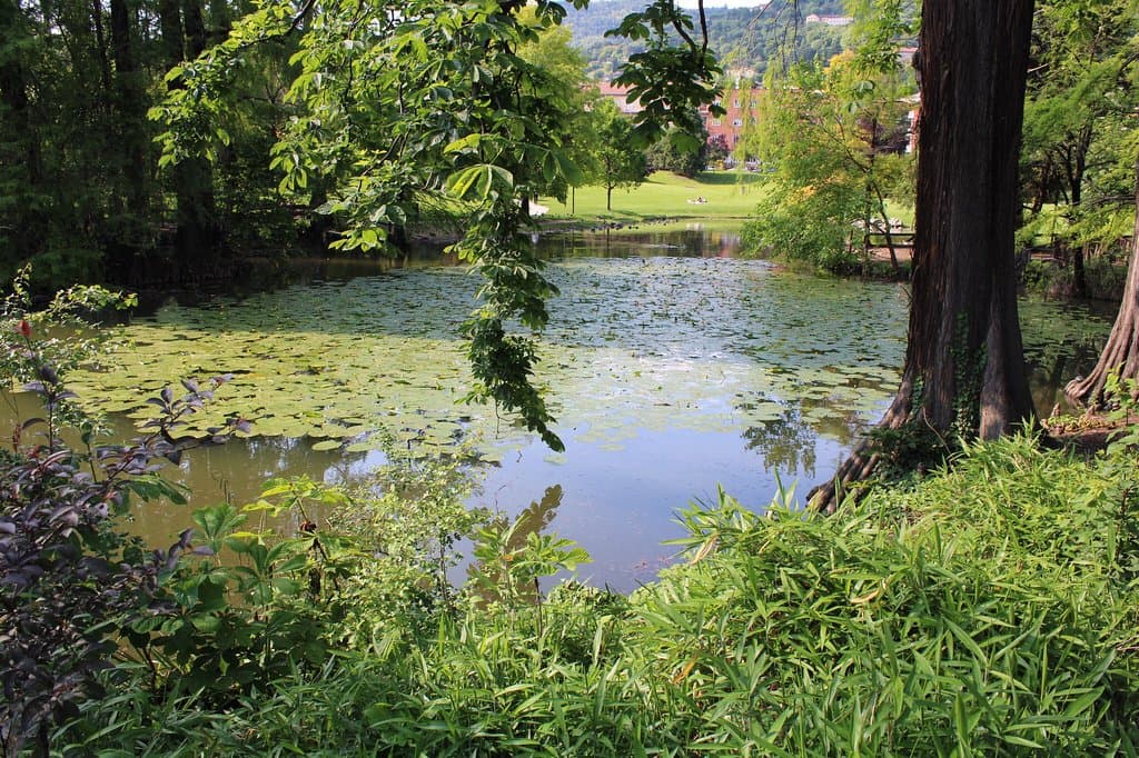 Parco Ducos