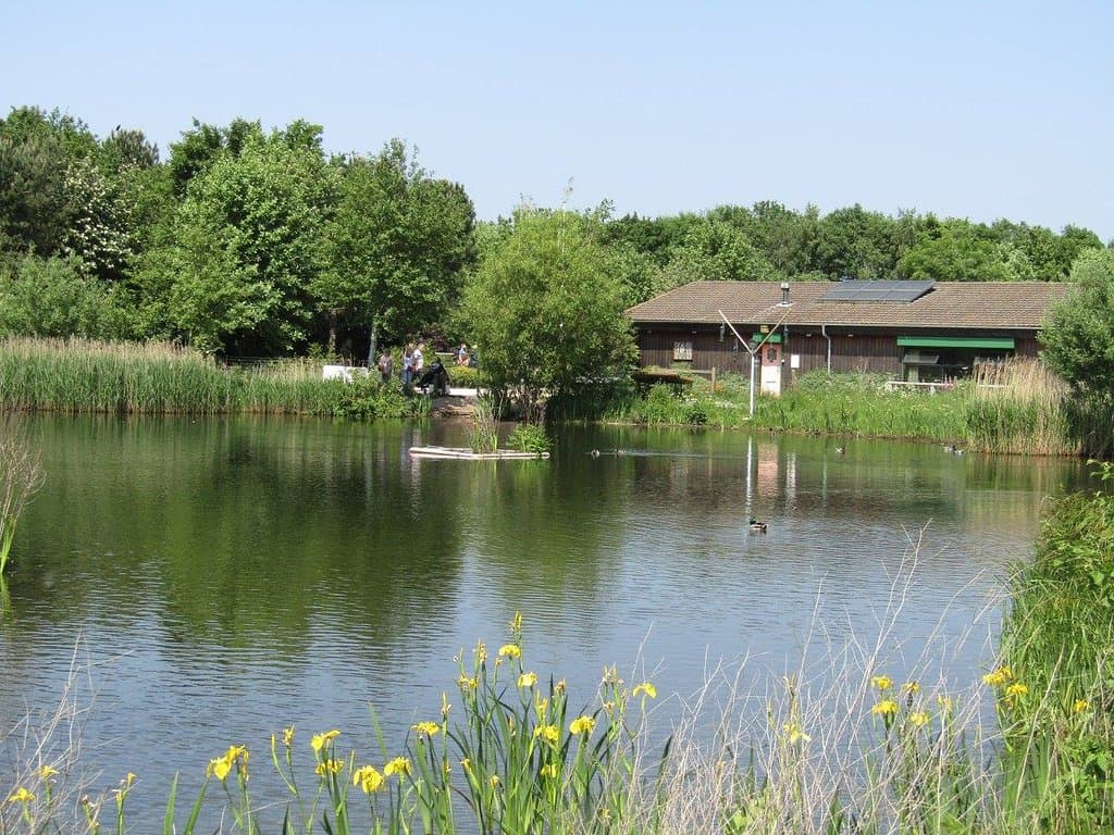 Rushcliffe Country Park cafe