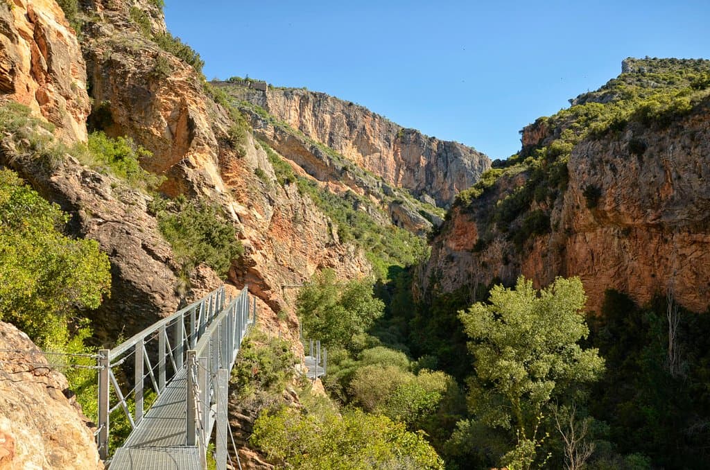 Dans le canyon