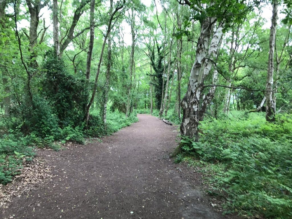 Crackley Woods Nature Reserve