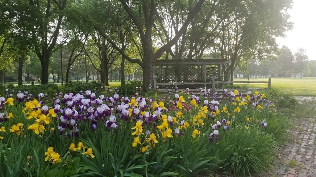 Stolley Park