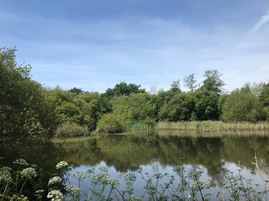 Blashford Lakes Nature Reserve