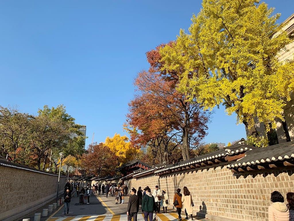 덕수궁 돌담길