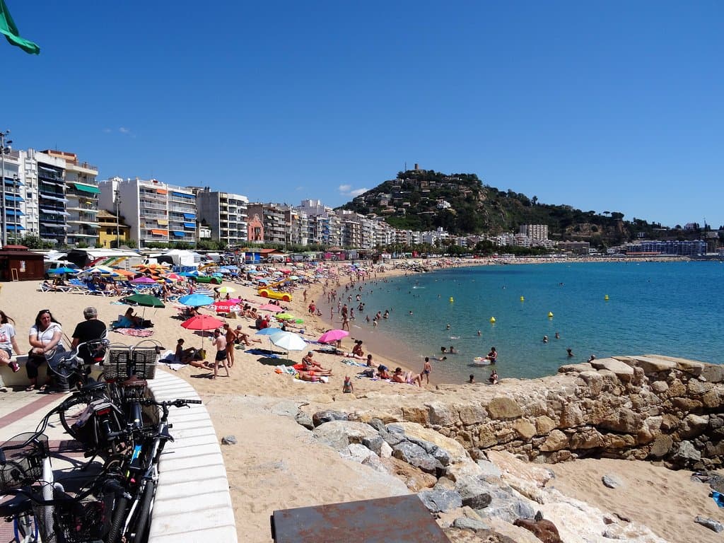 Looking north along beach