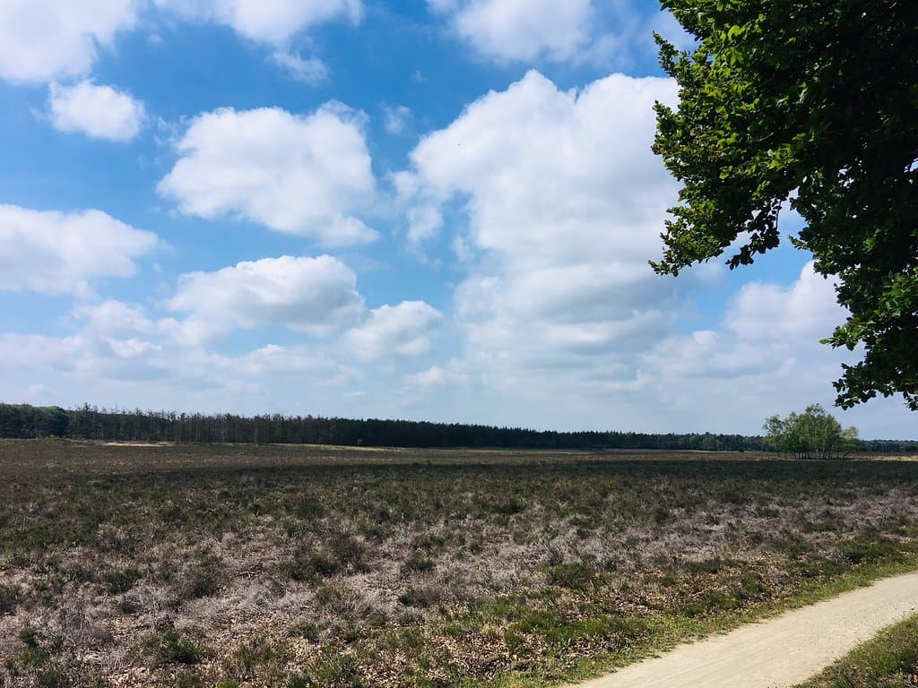 Planken Wambuis Netherlands