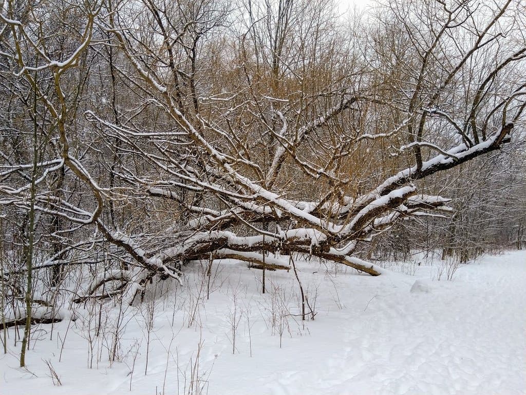 This was not taken this year, nor this month.