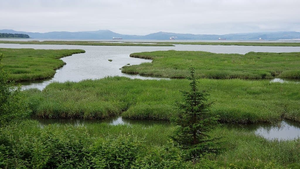 Sunkar Falcon Center