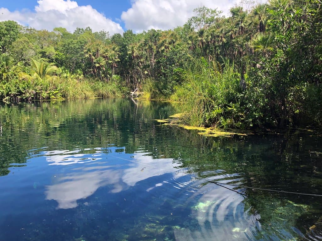 Crystal Cenote