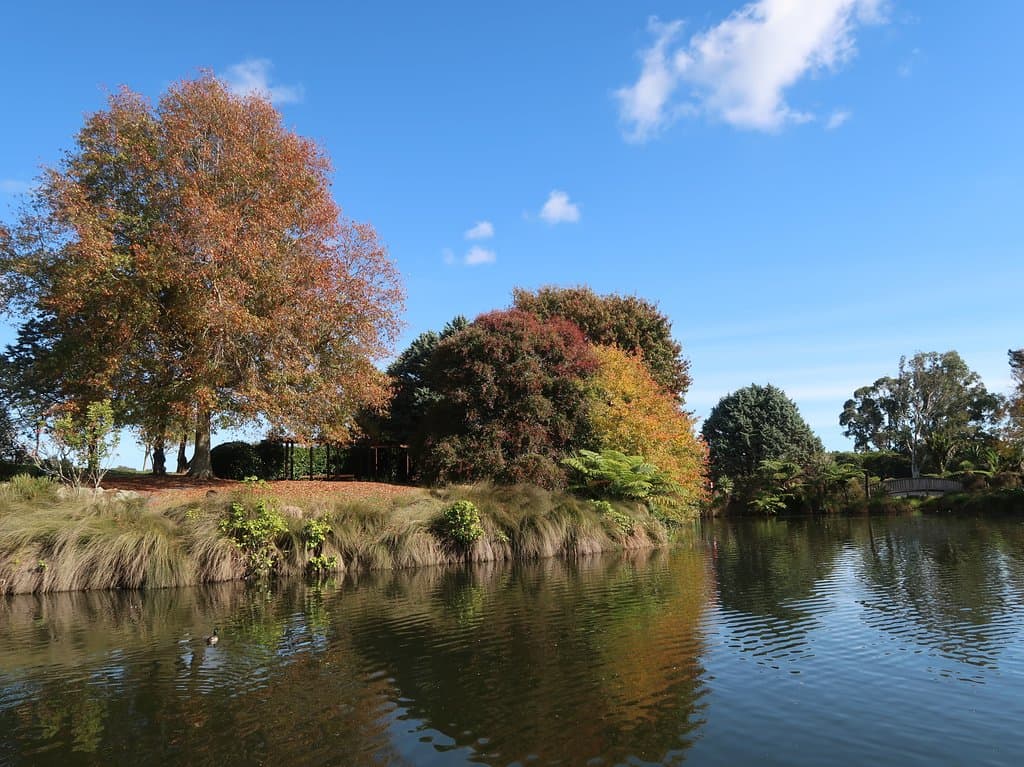 Garden during Autumn season