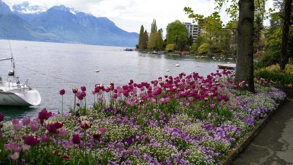 Montreux Music & Convention Centre 2m2c
