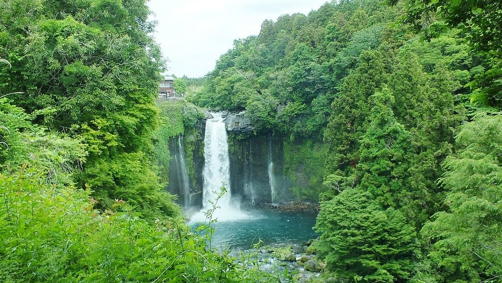 迫力満点の滝です