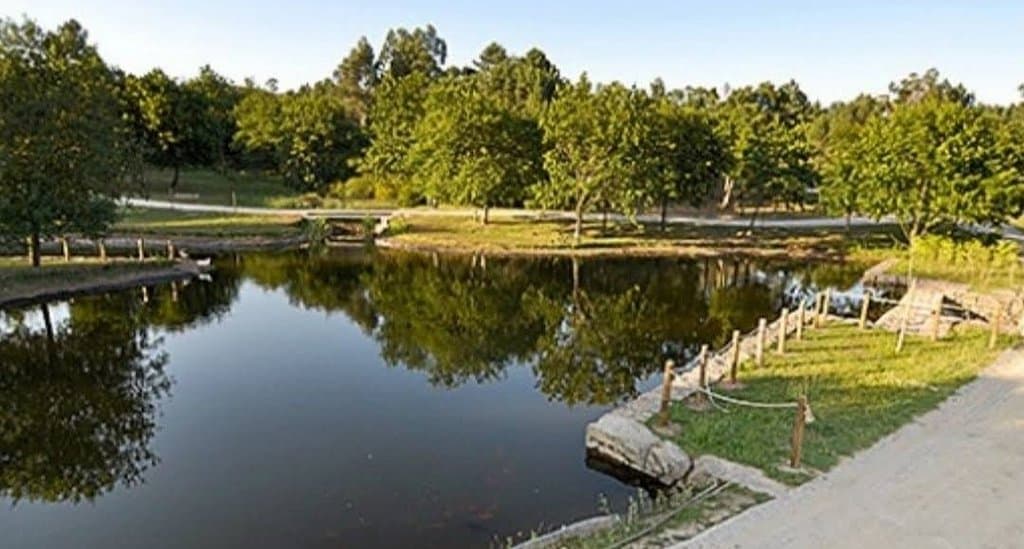 Parque de Avioso São Pedro