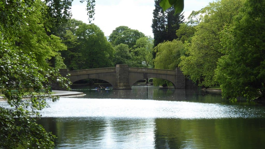 Bridge over the lake.