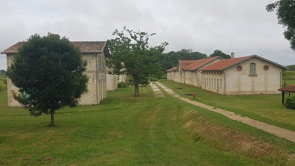 île Nouvelle