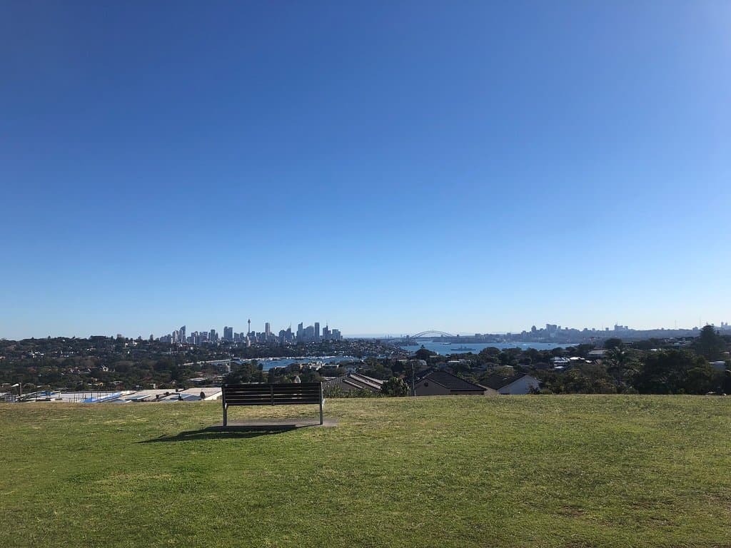 Sunny day