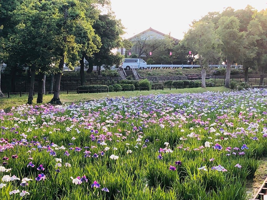 Mizumoto Park Tokyo