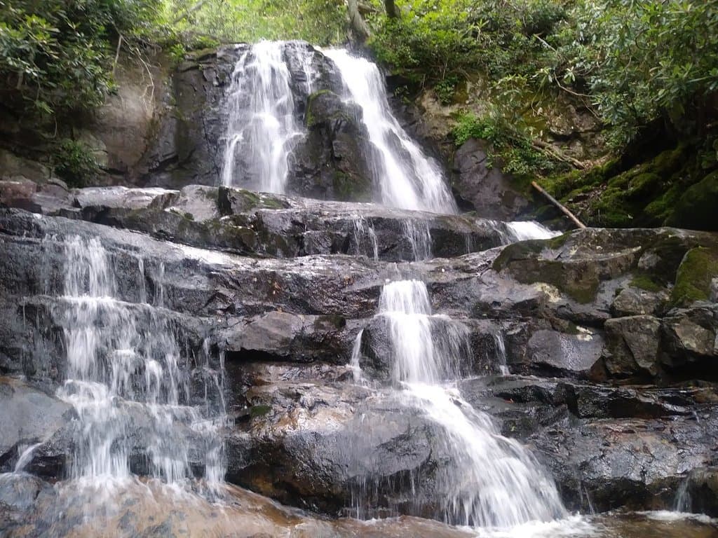 Laurel Falls Trail