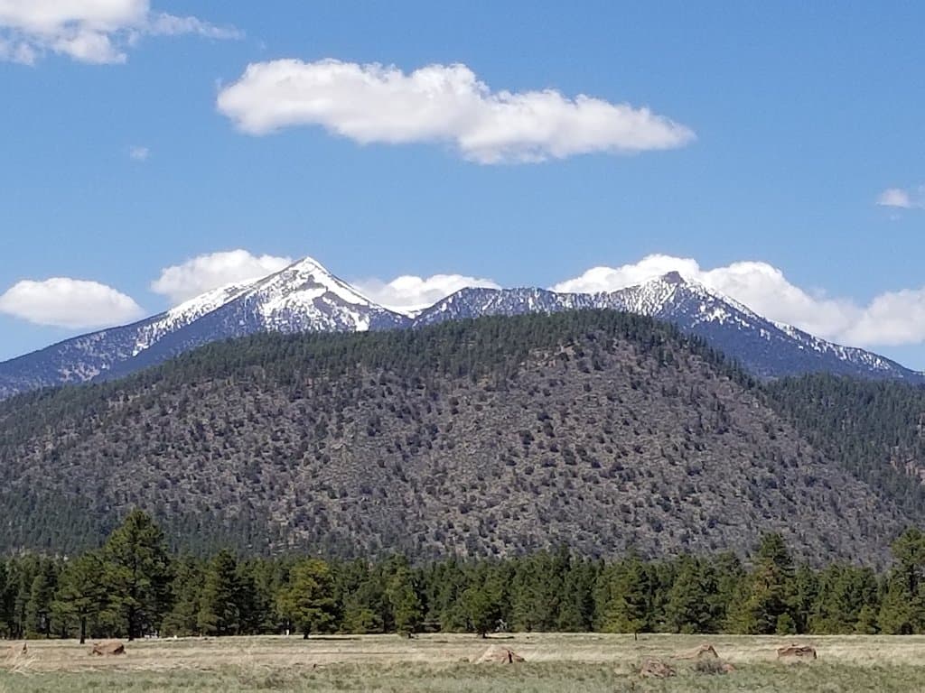 Buffalo Park