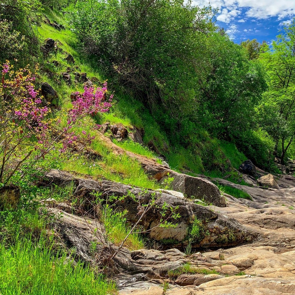 Natural Bridges Trail