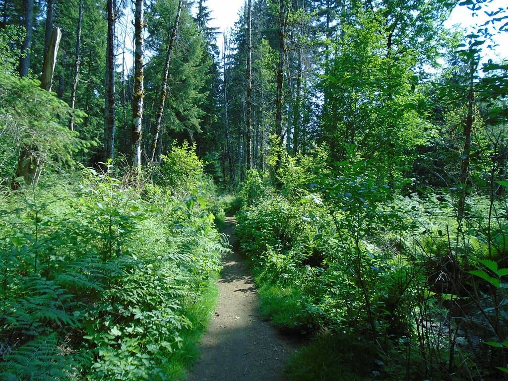 Secondary trail.
