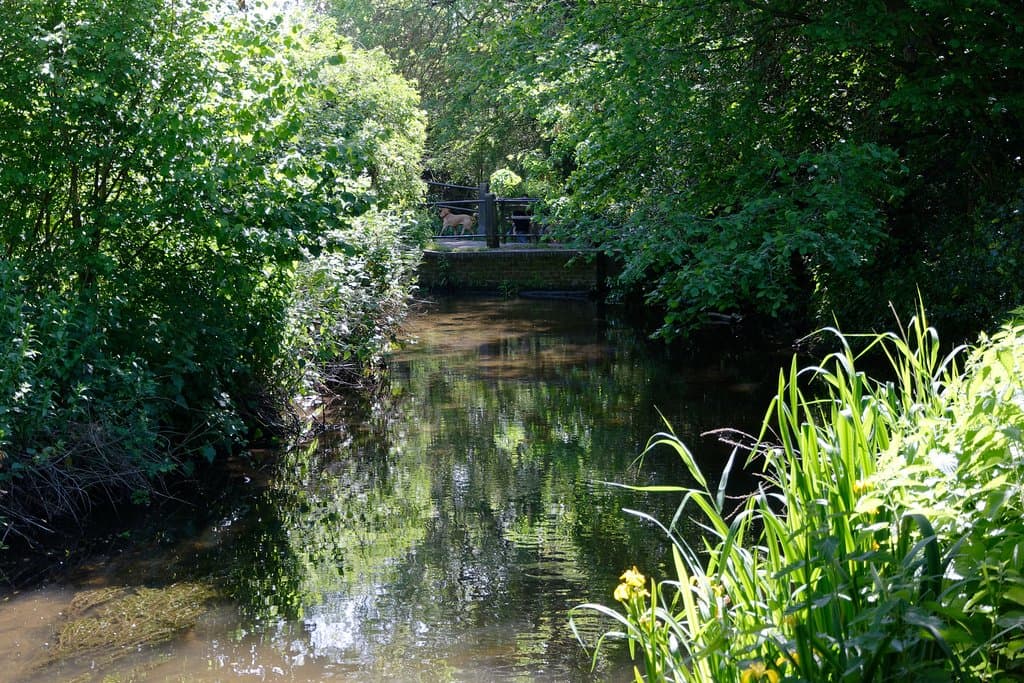 Batford Springs Nature Reserve