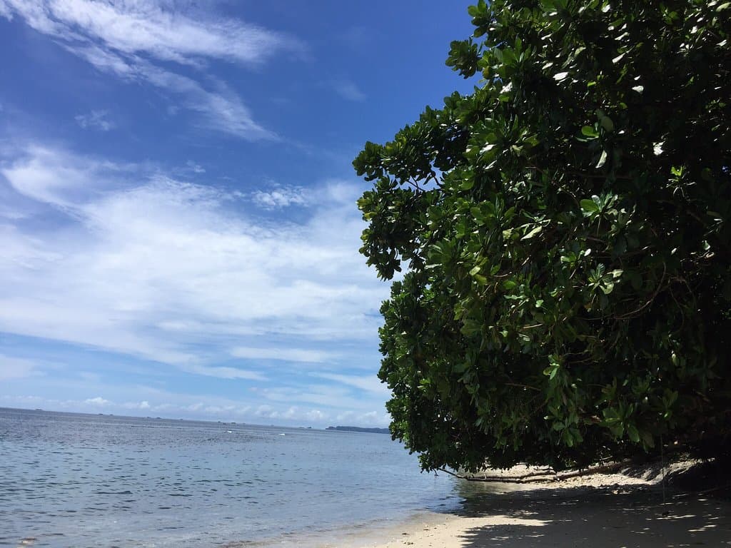 Tangkoko Nature Reserve North Sulawesi