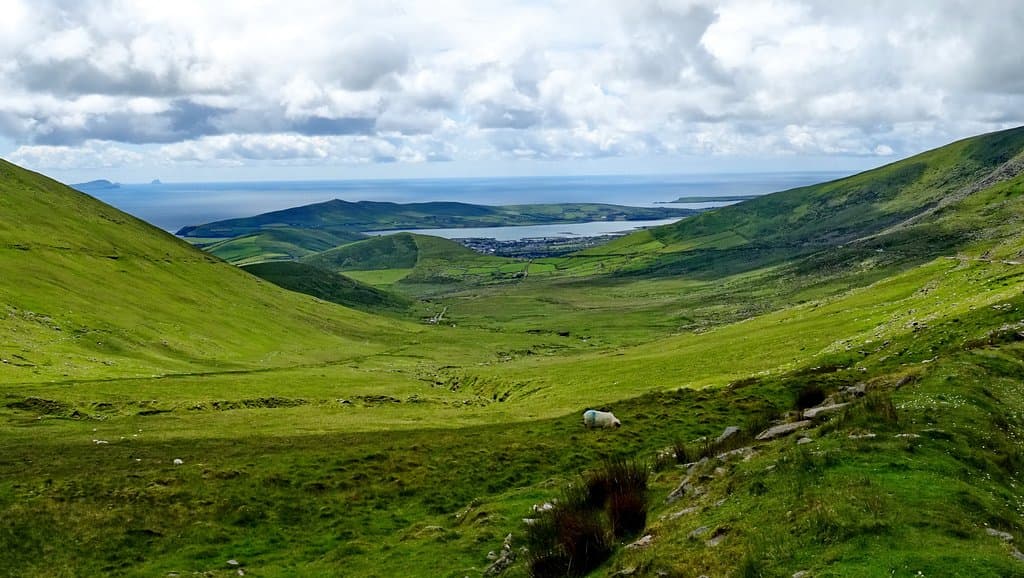 Blick vom Pass zurück nach Dingle