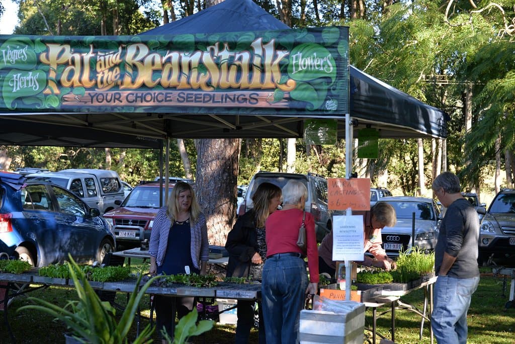 Seedlings and plant stall at Witta Market