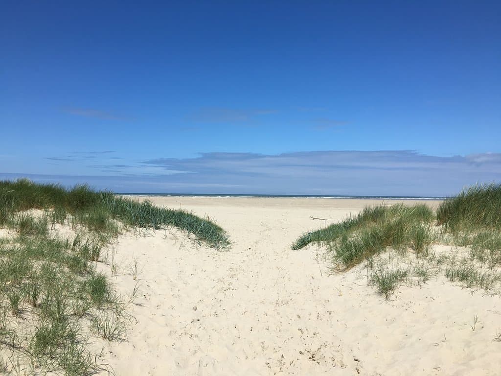 Berck-Authie Dunes