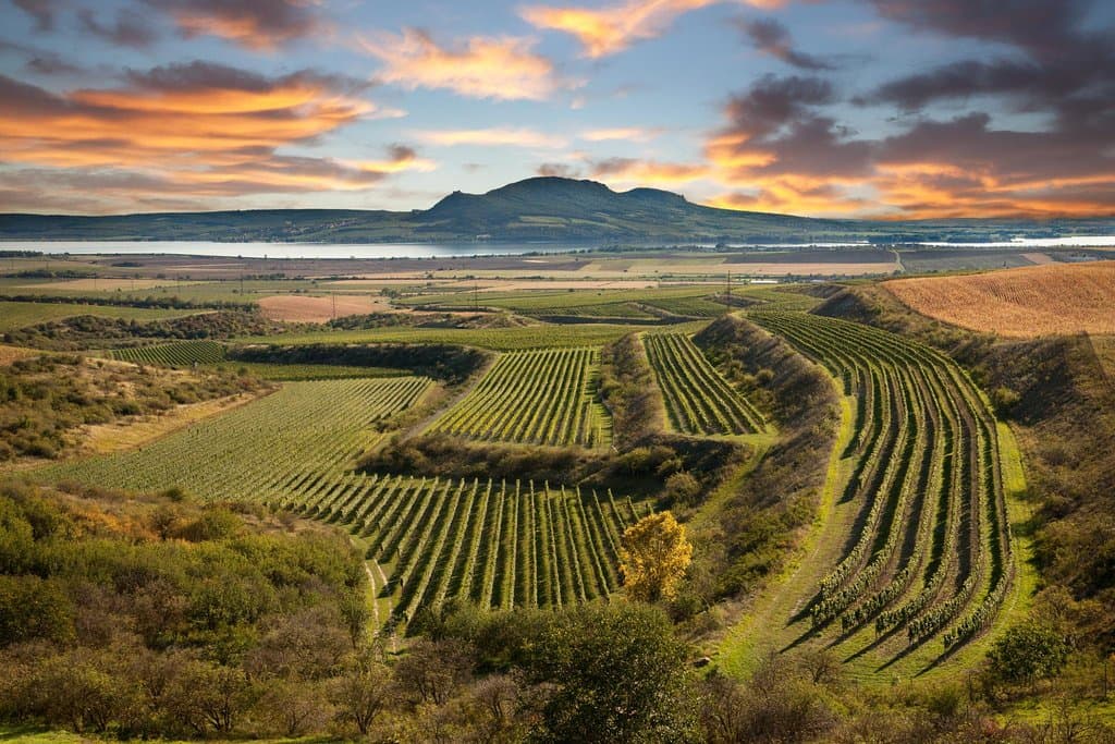 Lednice-Valtice Cultural Landscape
