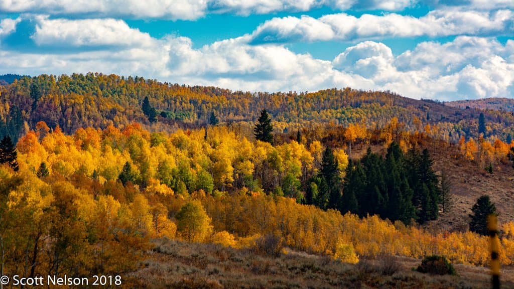 Myriad of colors as far as the eye can see.