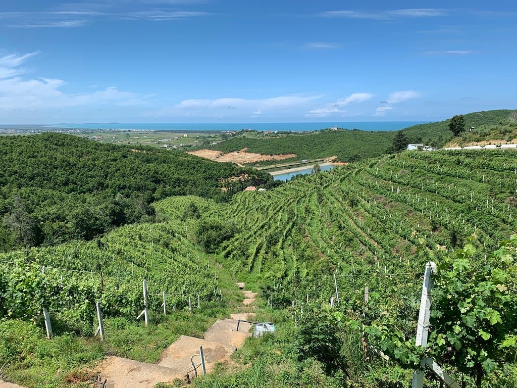 Duka Winery and Vineyard