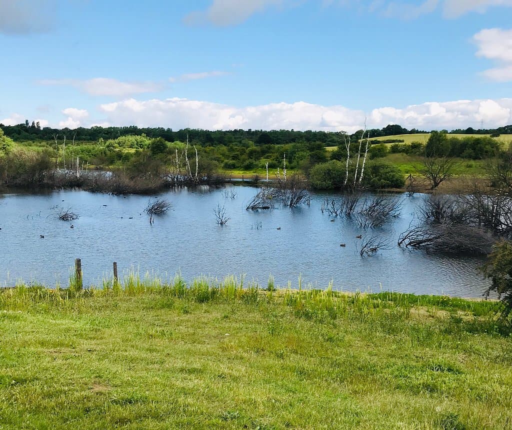 Rabbit Ings Country Park