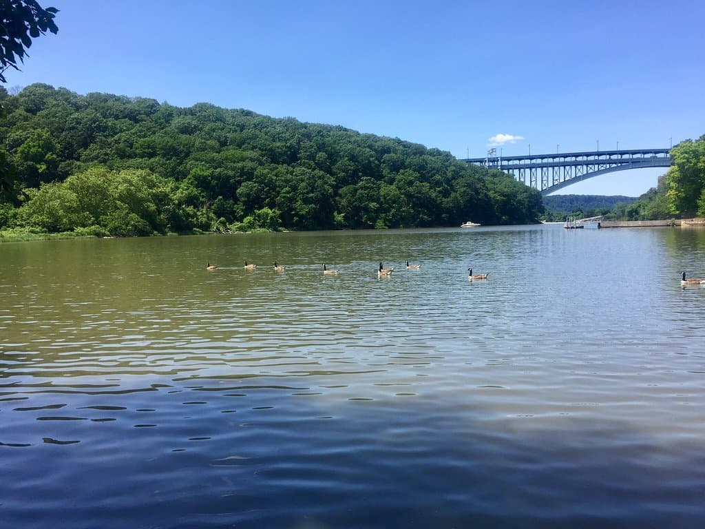 Inwood Hill Park New York City