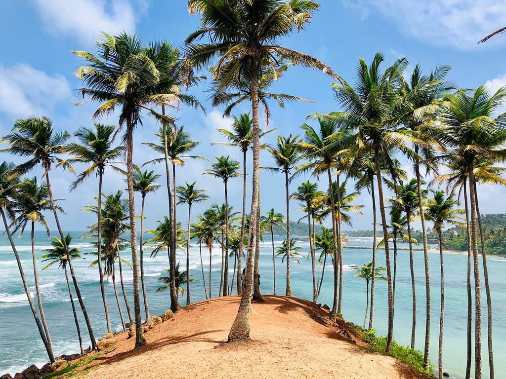 Coconut Tree Hill Mirissa
